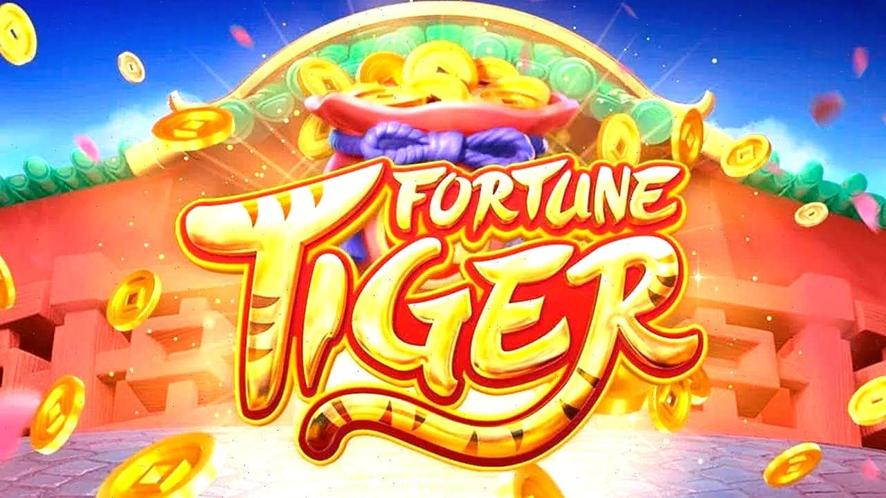 9z bet com